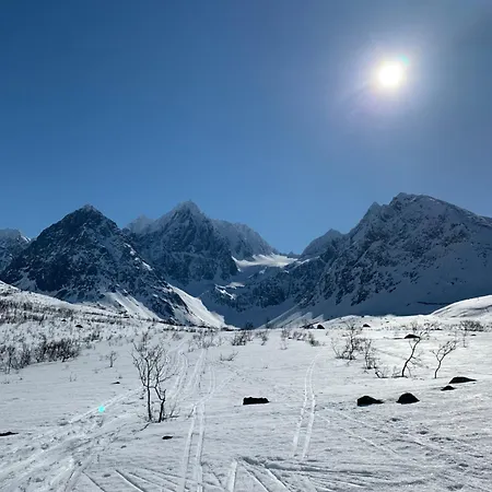 Flott Enebolig Naer Naturen
