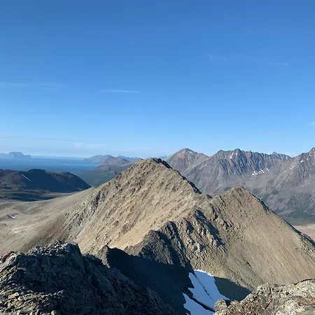 Flott Enebolig Naer Naturen