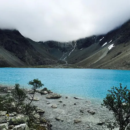 Flott Enebolig Naer Naturen Σπίτι διακοπών Lyngen