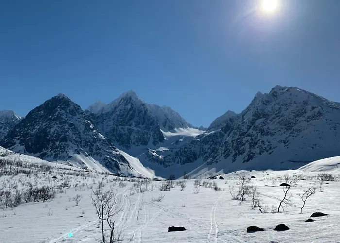 Flott Enebolig Naer Naturen